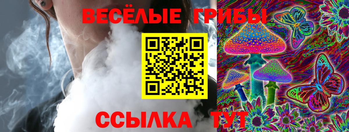 Псилоцибиновые грибы прущие грибы  Вход с VPN  Кашира 