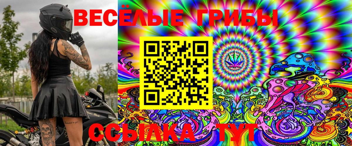 Галлюциногенные грибы Magic Shrooms Кашира